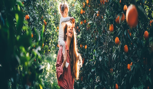 Birla Ojasvi Fruit Orchard